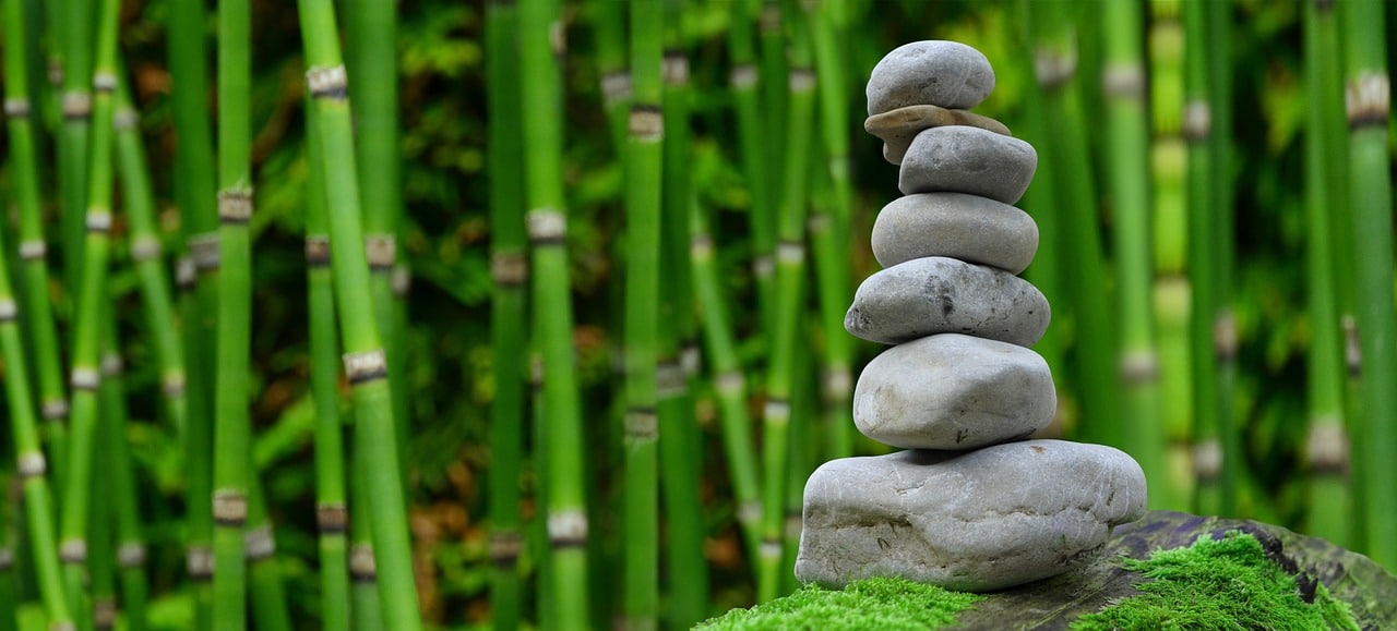 Comment aménager un espace zen dans son jardin ?