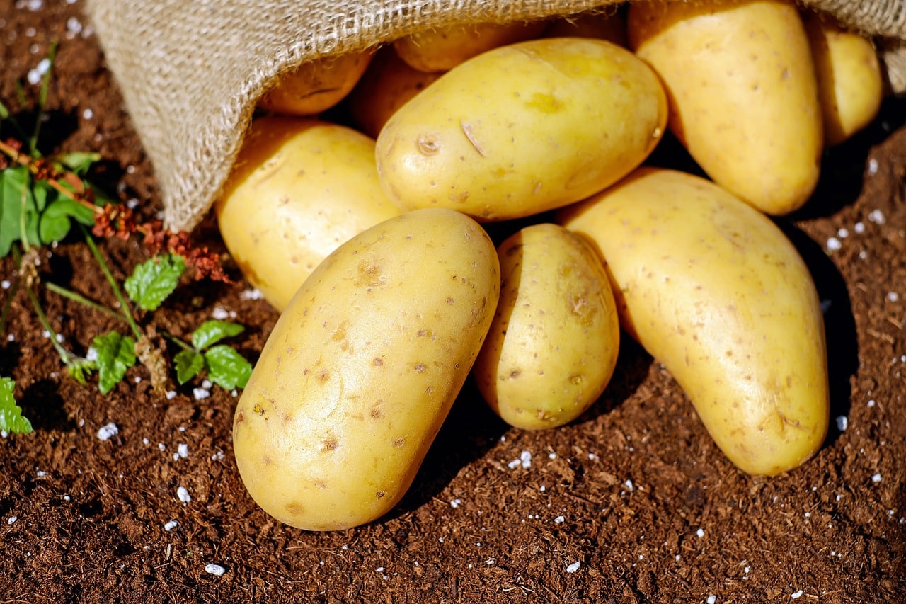 Comment butter les pommes de terre : astuces et étapes à suivre